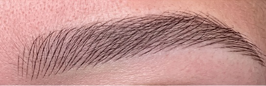 Gros plan sourcils — microblading, traits fins
