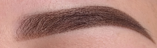 Gros plan sourcils — combo brows, traits et ombrage