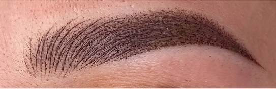 Gros plan sourcils — powder brows, effet poudré